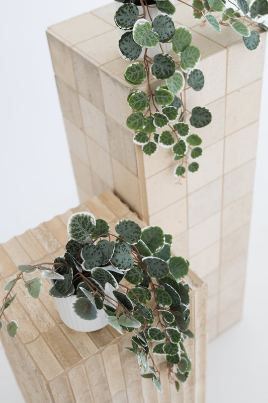 String of Hearts in Pot