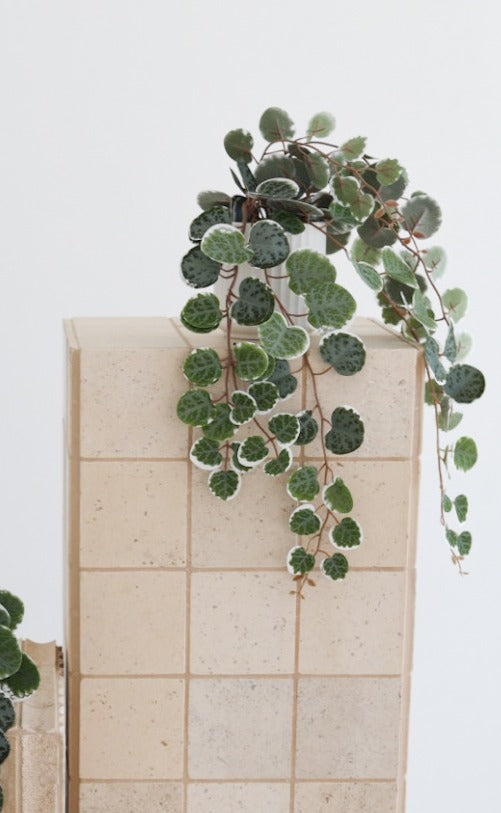 String of Hearts in Pot