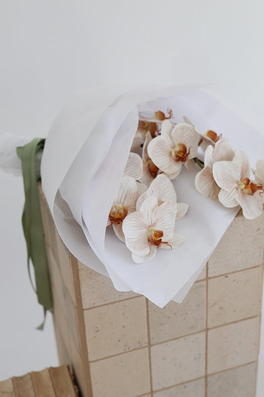 The O.G Orchid